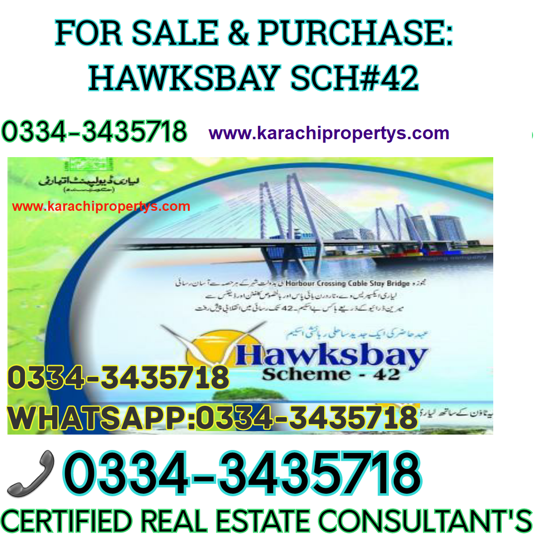 hawksbay information