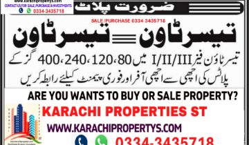 Taiser Town Scheme 45 Best Consultants